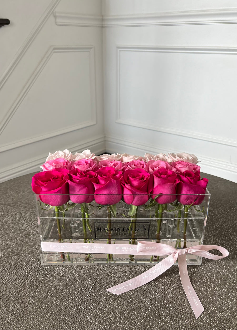 Ombre La Glace Collection - Maison Farola