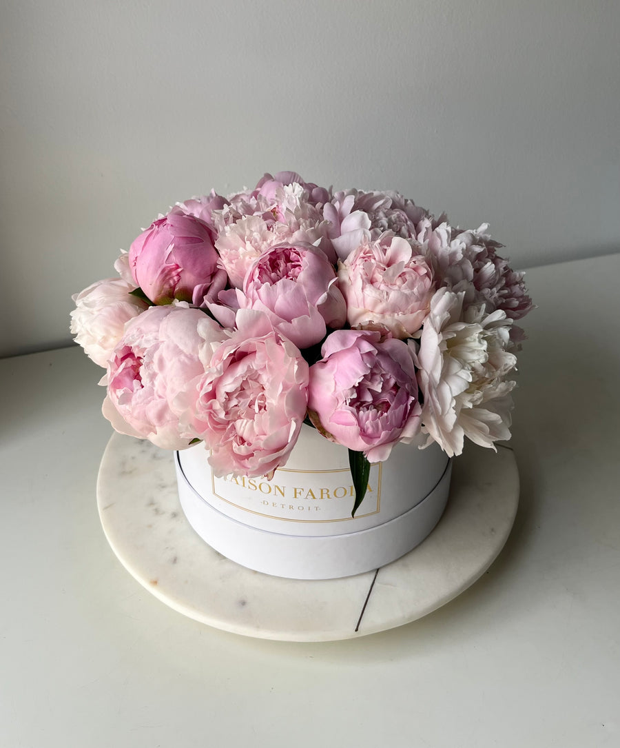 Limited Peony Box Collection - Maison Farola