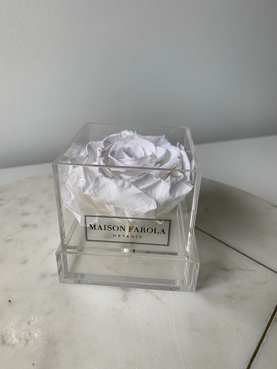 [flower_box], [maison_farola], [arrangement], [flowers], [birthday], [mothers_day], [delivery], [hat_box], [english_garden], [affordable_flowers], [blumz], [pot_and_box], [made_floral], [blush_and_co], [tiffany_florist], [blossoms], [fleurdetroit], [gift], [easter], [centerpiece], [baby_shower], [baby_girl], [baby_boy], [baptism], [event], [communion], [sympathy], [corporate], [flower_bouquet], [preserved]