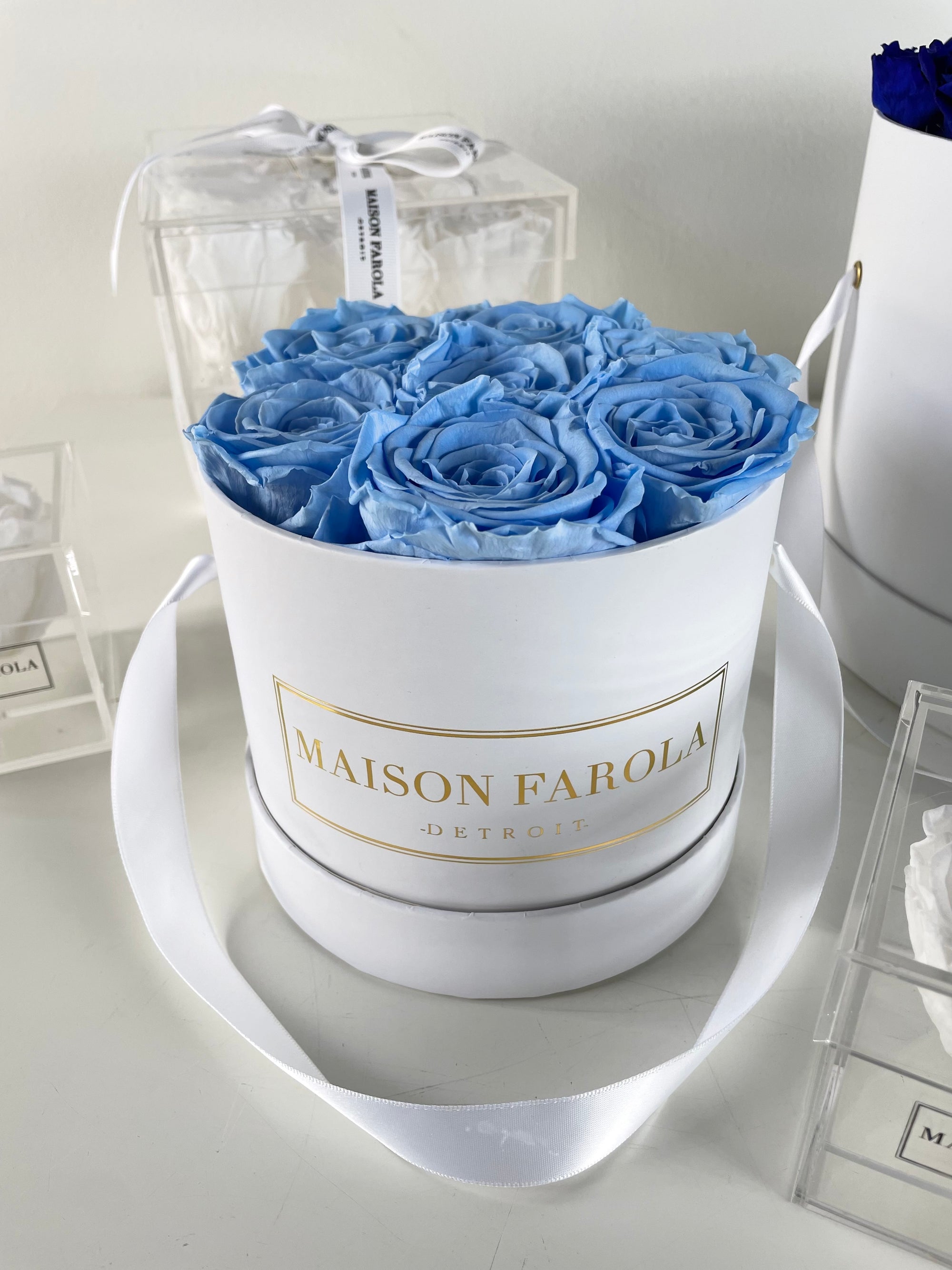 Forever Series - Petit - Maison Farola