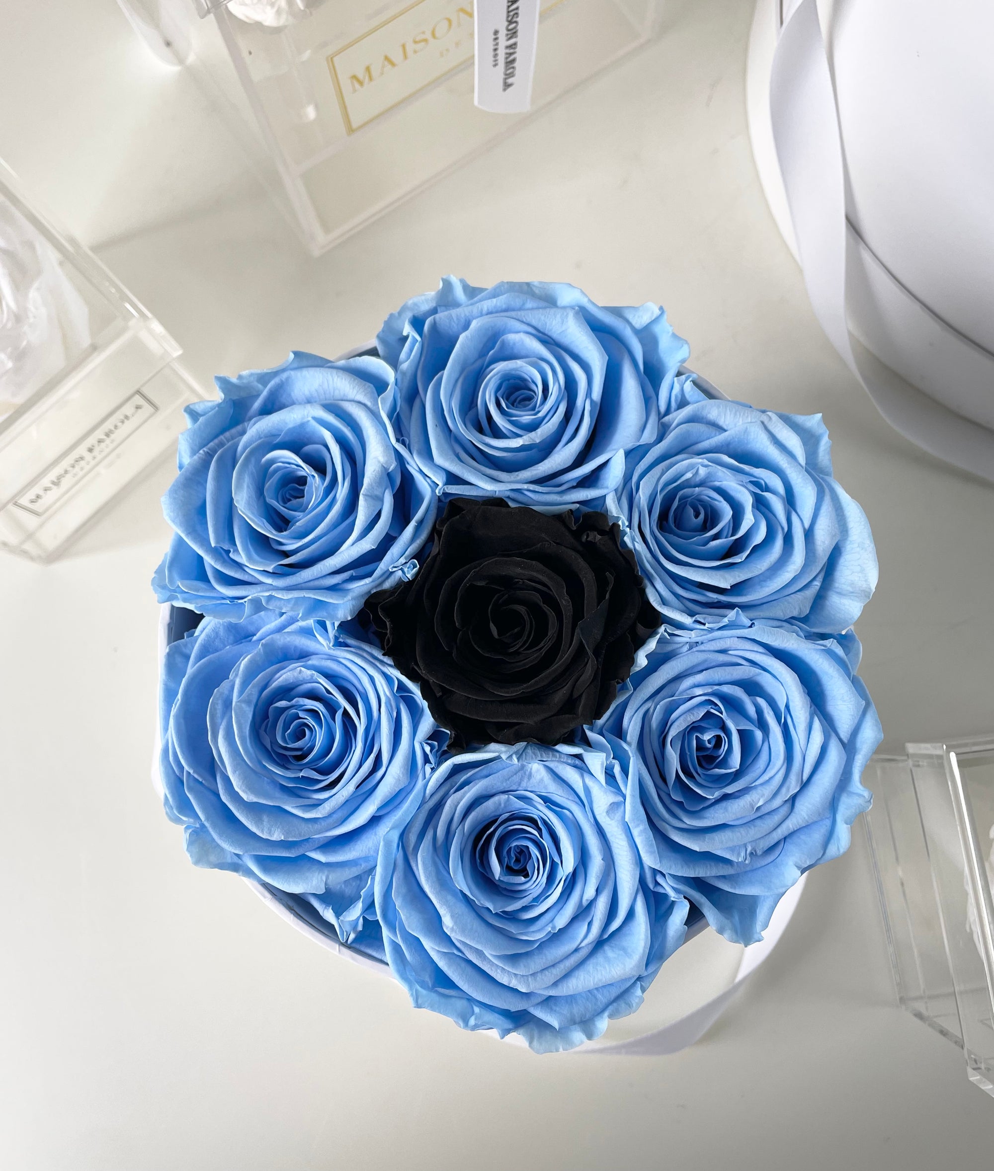 Evil Eye Forever Series - Maison Farola