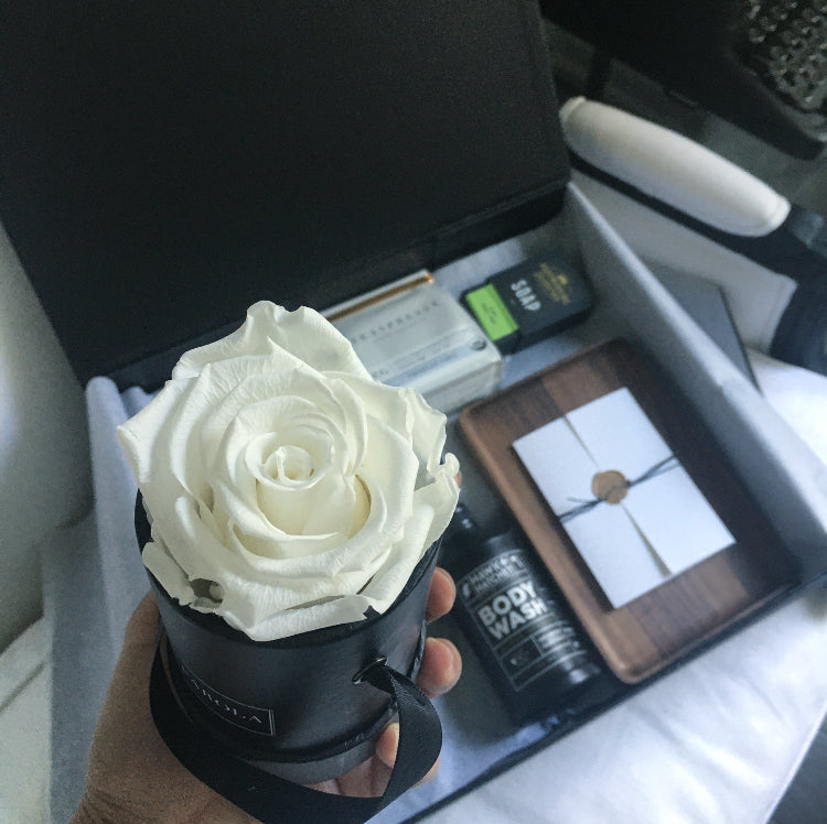 [flower_box], [maison_farola], [arrangement], [flowers], [birthday], [mothers_day], [delivery], [hat_box], [english_garden], [affordable_flowers], [blumz], [pot_and_box], [made_floral], [blush_and_co], [tiffany_florist], [blossoms], [fleurdetroit], [gift], [easter], [centerpiece], [baby_shower], [baby_girl], [baby_boy], [baptism], [event], [communion], [sympathy], [corporate], [flower_bouquet], [preserved]