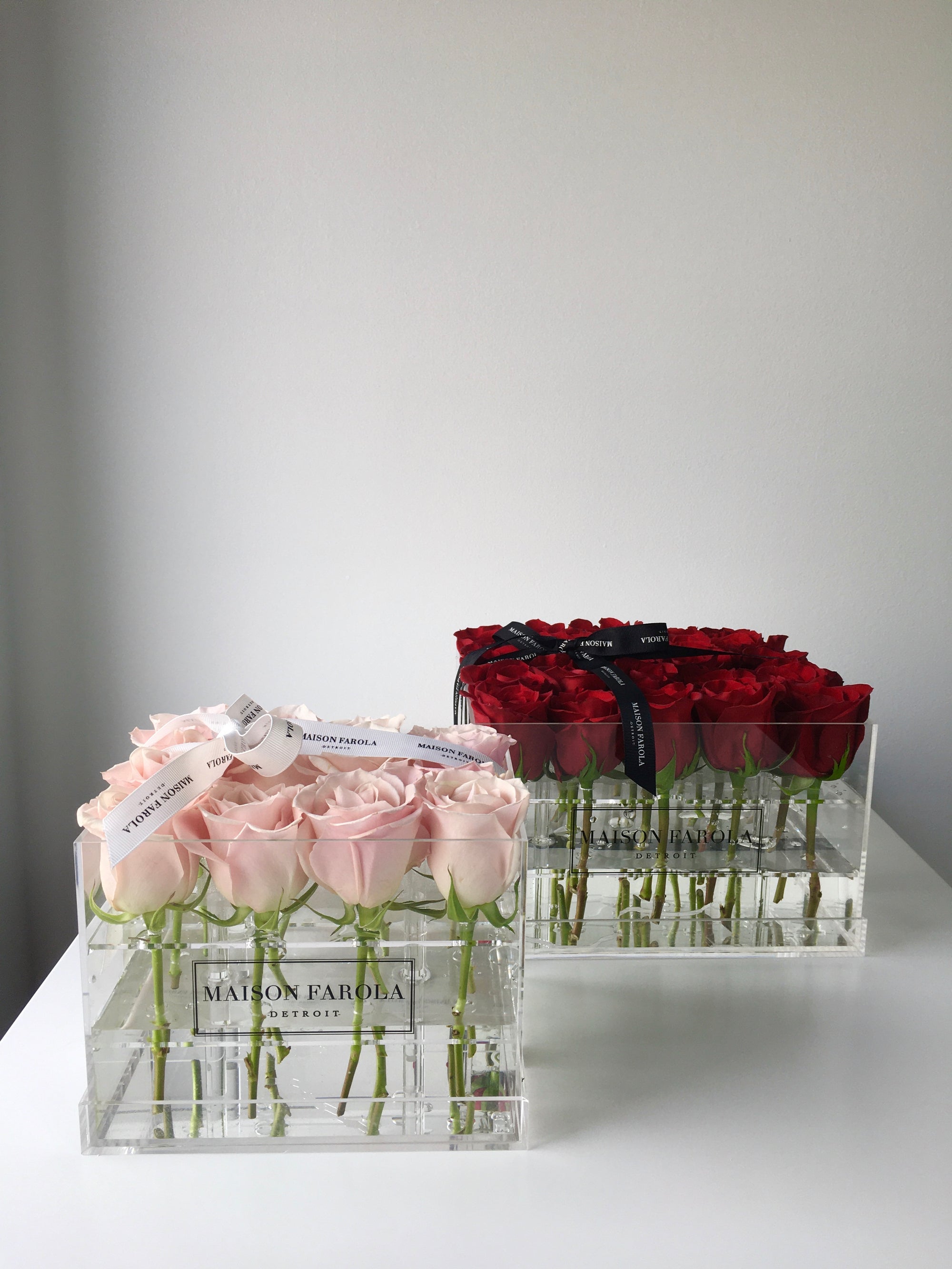 [flower_box], [maison_farola], [arrangement], [flowers], [birthday], [mothers_day], [delivery], [hat_box], [english_garden], [affordable_flowers], [blumz], [pot_and_box], [made_floral], [blush_and_co], [tiffany_florist], [blossoms], [fleurdetroit], [gift], [easter], [centerpiece], [baby_shower], [baby_girl], [baby_boy], [baptism], [event], [communion], [sympathy], [corporate], [flower_bouquet], [preserved]