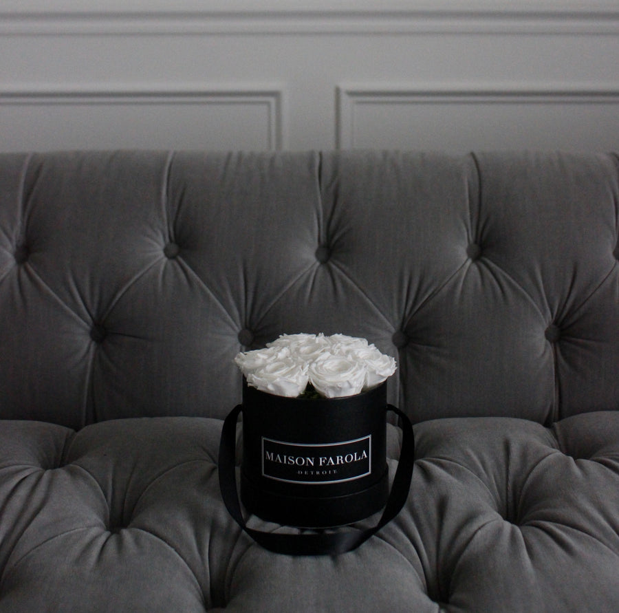 [flower_box], [maison_farola], [arrangement], [flowers], [birthday], [mothers_day], [delivery], [hat_box], [english_garden], [affordable_flowers], [blumz], [pot_and_box], [made_floral], [blush_and_co], [tiffany_florist], [blossoms], [fleurdetroit], [gift], [easter], [centerpiece], [baby_shower], [baby_girl], [baby_boy], [baptism], [event], [communion], [sympathy], [corporate], [flower_bouquet], [preserved]