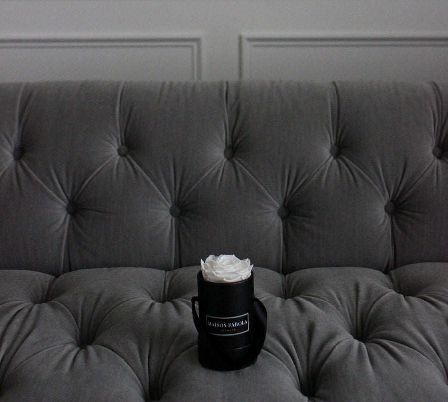 [flower_box], [maison_farola], [arrangement], [flowers], [birthday], [mothers_day], [delivery], [hat_box], [english_garden], [affordable_flowers], [blumz], [pot_and_box], [made_floral], [blush_and_co], [tiffany_florist], [blossoms], [fleurdetroit], [gift], [easter], [centerpiece], [baby_shower], [baby_girl], [baby_boy], [baptism], [event], [communion], [sympathy], [corporate], [flower_bouquet], [preserved]