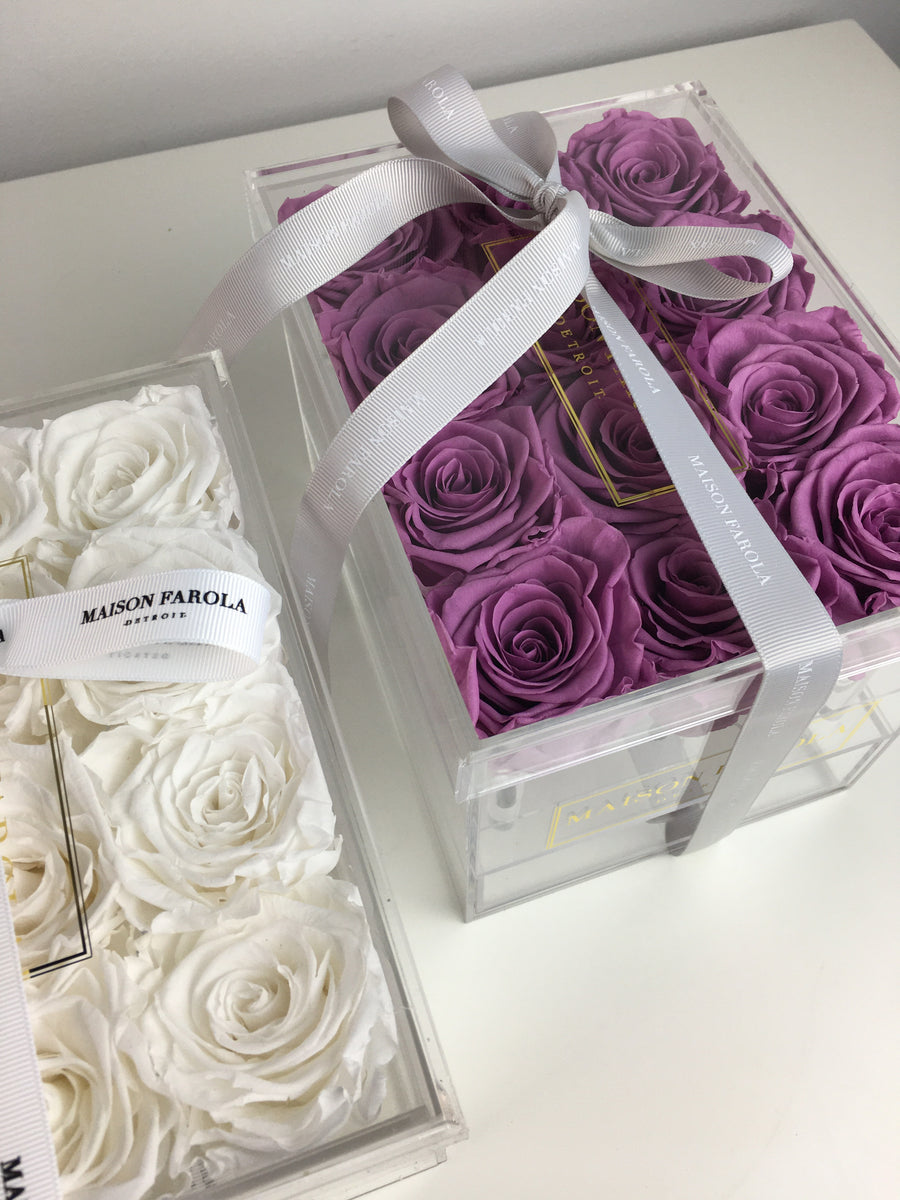 Forever La Glace - Maison Farola