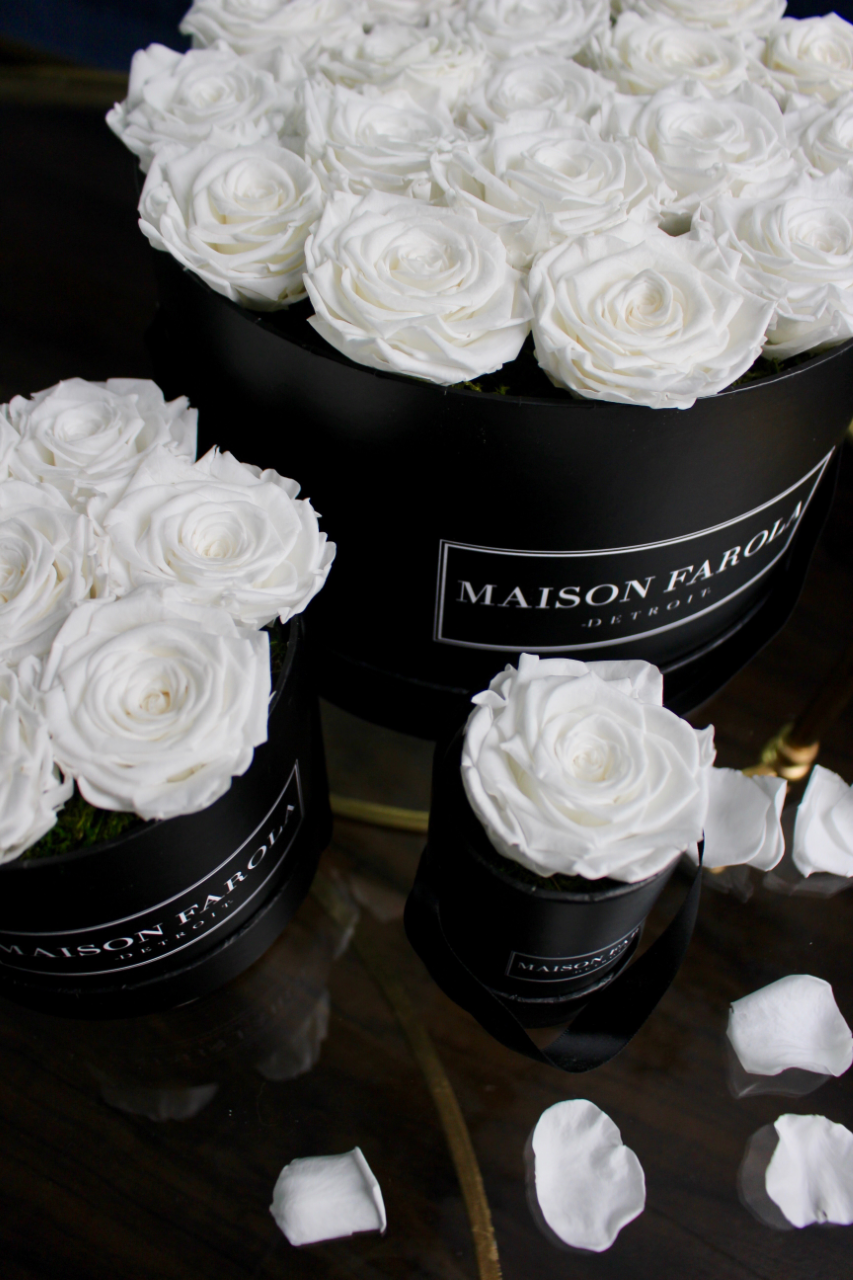 [flower_box], [maison_farola], [arrangement], [flowers], [birthday], [mothers_day], [delivery], [hat_box], [english_garden], [affordable_flowers], [blumz], [pot_and_box], [made_floral], [blush_and_co], [tiffany_florist], [blossoms], [fleurdetroit], [gift], [easter], [centerpiece], [baby_shower], [baby_girl], [baby_boy], [baptism], [event], [communion], [sympathy], [corporate], [flower_bouquet], [preserved]