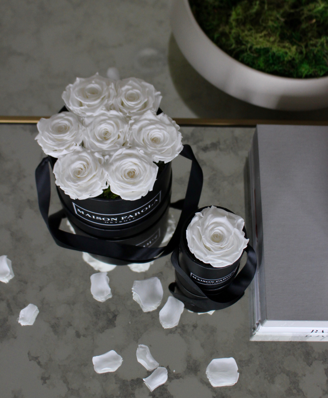 [flower_box], [maison_farola], [arrangement], [flowers], [birthday], [mothers_day], [delivery], [hat_box], [english_garden], [affordable_flowers], [blumz], [pot_and_box], [made_floral], [blush_and_co], [tiffany_florist], [blossoms], [fleurdetroit], [gift], [easter], [centerpiece], [baby_shower], [baby_girl], [baby_boy], [baptism], [event], [communion], [sympathy], [corporate], [flower_bouquet], [preserved]