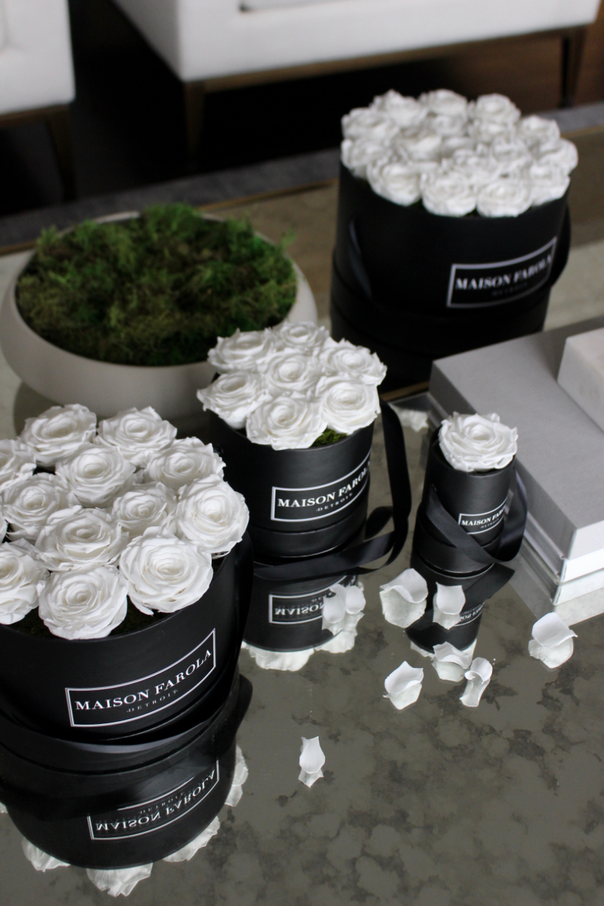 [flower_box], [maison_farola], [arrangement], [flowers], [birthday], [mothers_day], [delivery], [hat_box], [english_garden], [affordable_flowers], [blumz], [pot_and_box], [made_floral], [blush_and_co], [tiffany_florist], [blossoms], [fleurdetroit], [gift], [easter], [centerpiece], [baby_shower], [baby_girl], [baby_boy], [baptism], [event], [communion], [sympathy], [corporate], [flower_bouquet], [preserved]