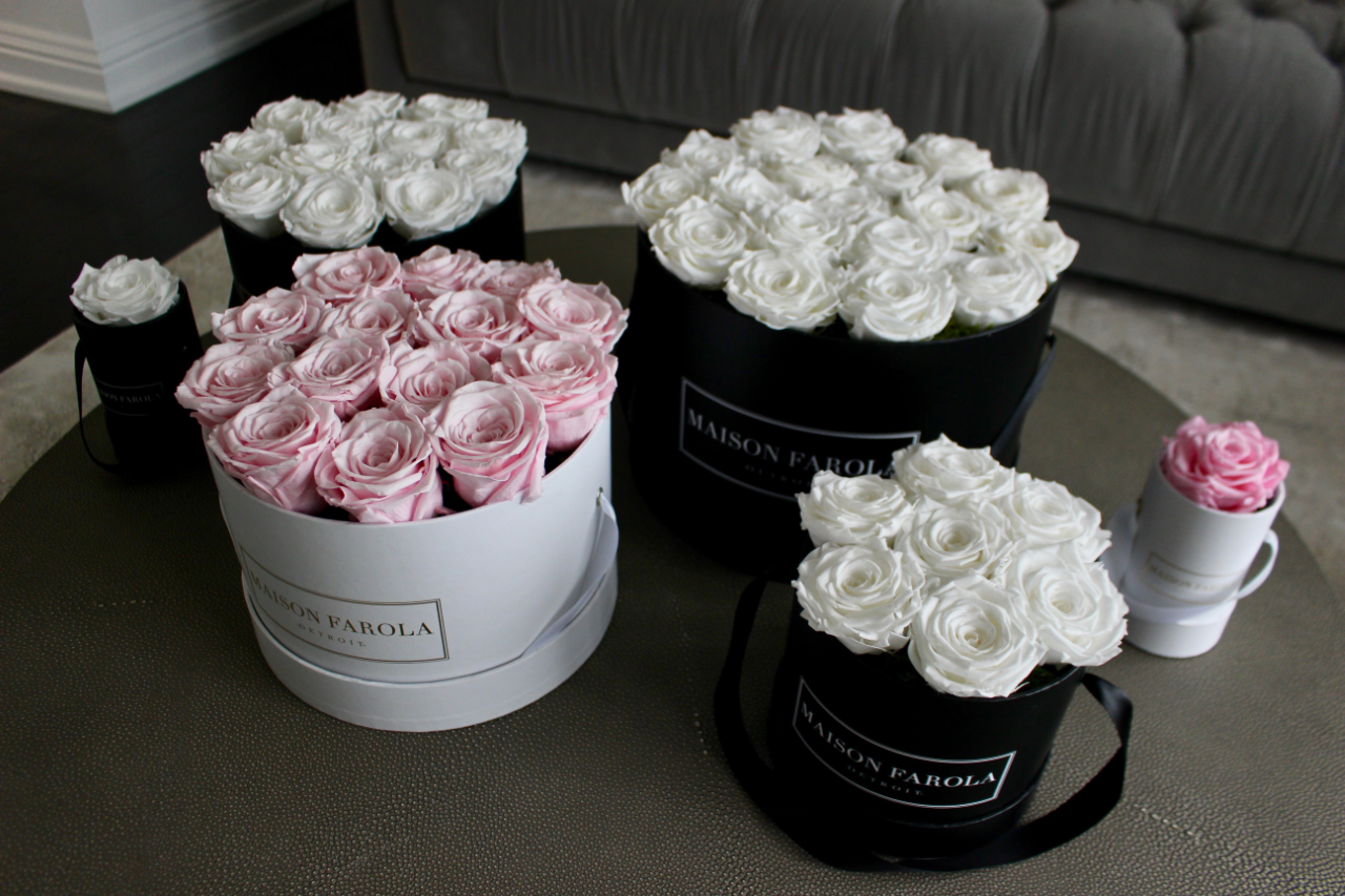 [flower_box], [maison_farola], [arrangement], [flowers], [birthday], [mothers_day], [delivery], [hat_box], [english_garden], [affordable_flowers], [blumz], [pot_and_box], [made_floral], [blush_and_co], [tiffany_florist], [blossoms], [fleurdetroit], [gift], [easter], [centerpiece], [baby_shower], [baby_girl], [baby_boy], [baptism], [event], [communion], [sympathy], [corporate], [flower_bouquet], [preserved]